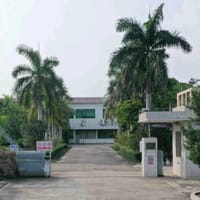 丹尼尔·斯科特