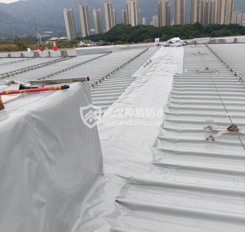 体育馆屋顶漏雨防水补漏全流程技术方案