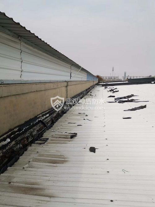 钢结构屋面漏雨防水补漏难点